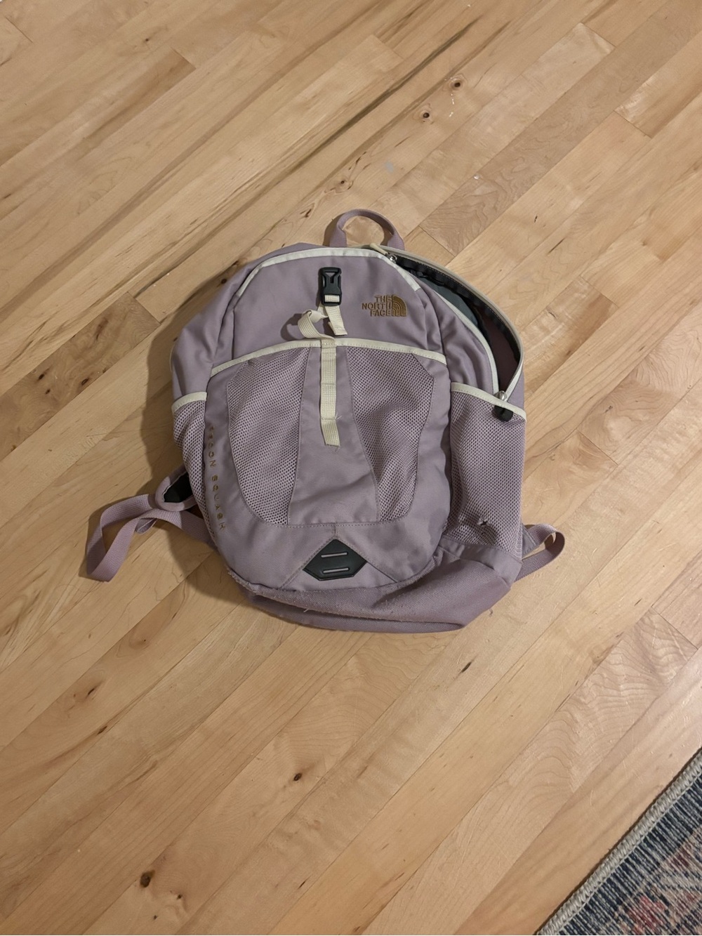 The North Face Light Purple Backpack